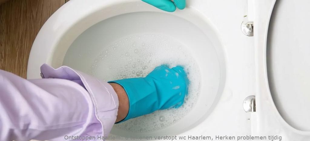 6 tekenen verstopt wc Haarlem, Herken problemen tijdig